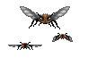 Mm4 stingers.png