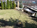 Náhled verze z 7. 11. 2012, 13:59