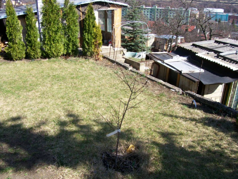 Soubor:100 3479.JPG
